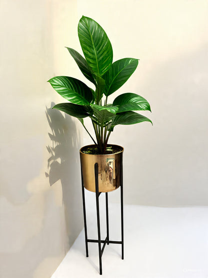 Artificial Money Plant Vase