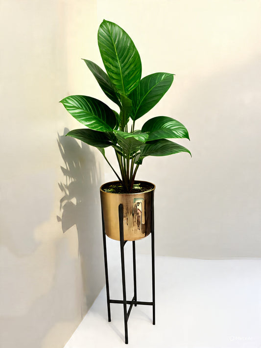 Artificial Money Plant Vase