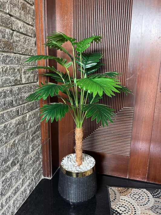 Areca Palm Tree Pot Vase (Single Stem)