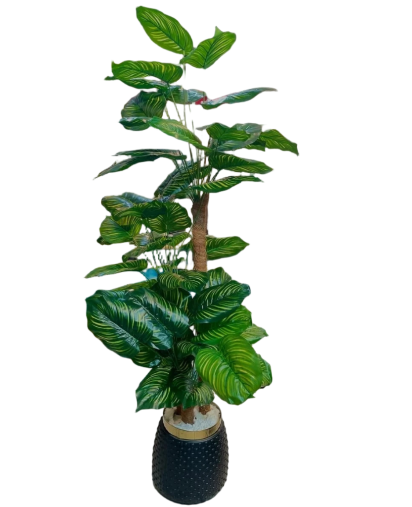 Artificial Zebra Plant Pot Vase (Black)