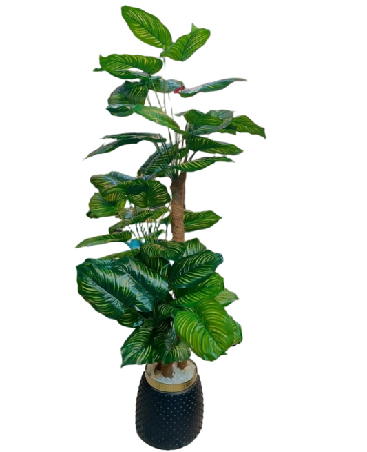 Artificial Zebra Plant Pot Vase (Black)